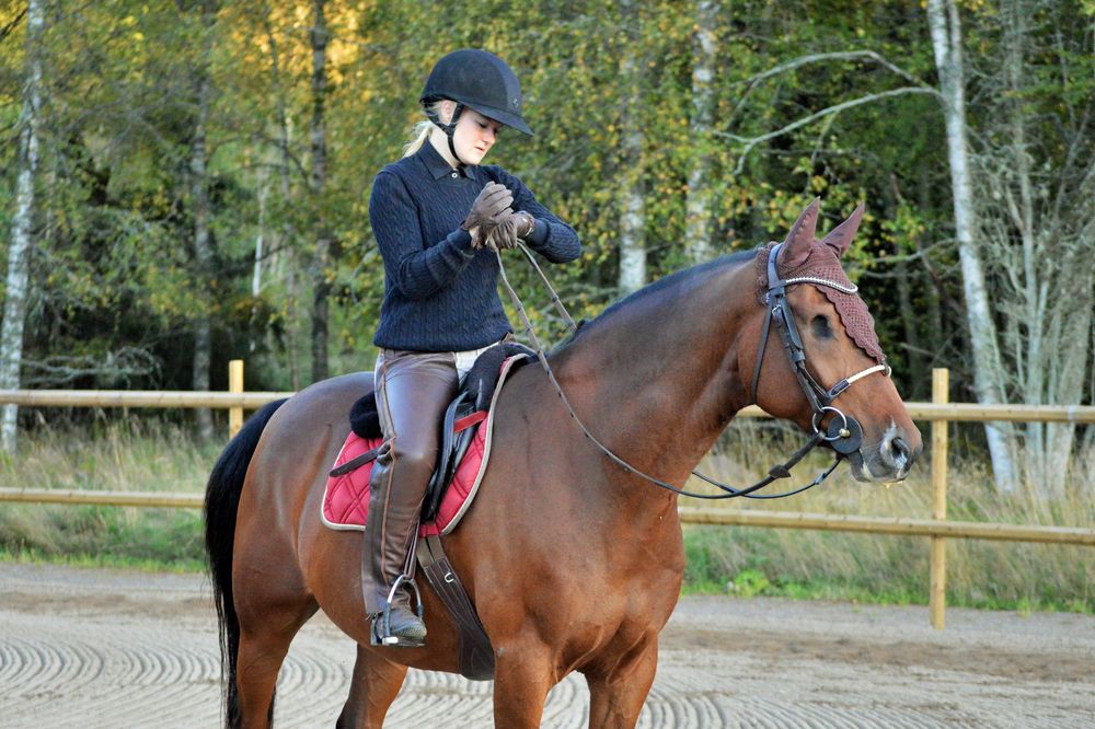 Ellens Horselife - En blogg om mig och resa med hästarna.