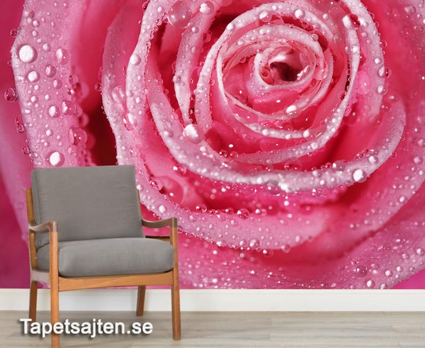 Blommig tapet ros rosa fototapet blommor romantisk