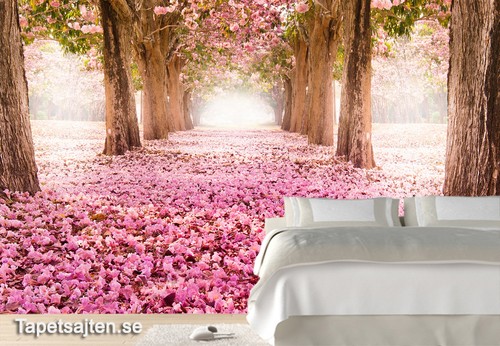 naturtapet romantisk fototapet rosa tunnel gång träd romantisk tapet sovrum