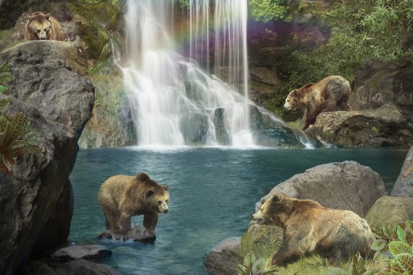 Vattenfall Tapet med Björnar