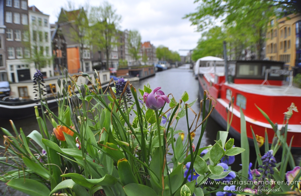 Kanaler, båtar och söta hus i Amsterdam - must-see