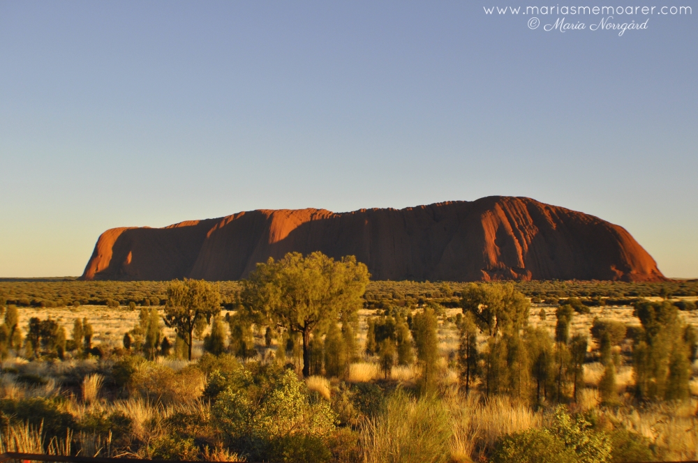 heliga Uluru / Ayer's Rock i Australiens mitt