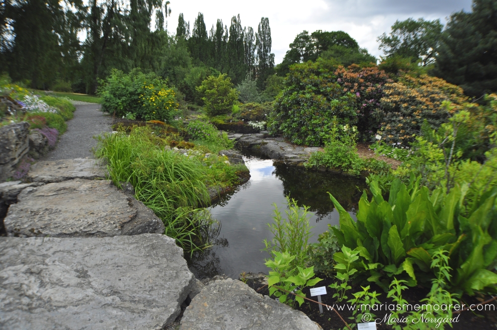 botanisk trädgård i Oslo - mindre kända sevärdheter