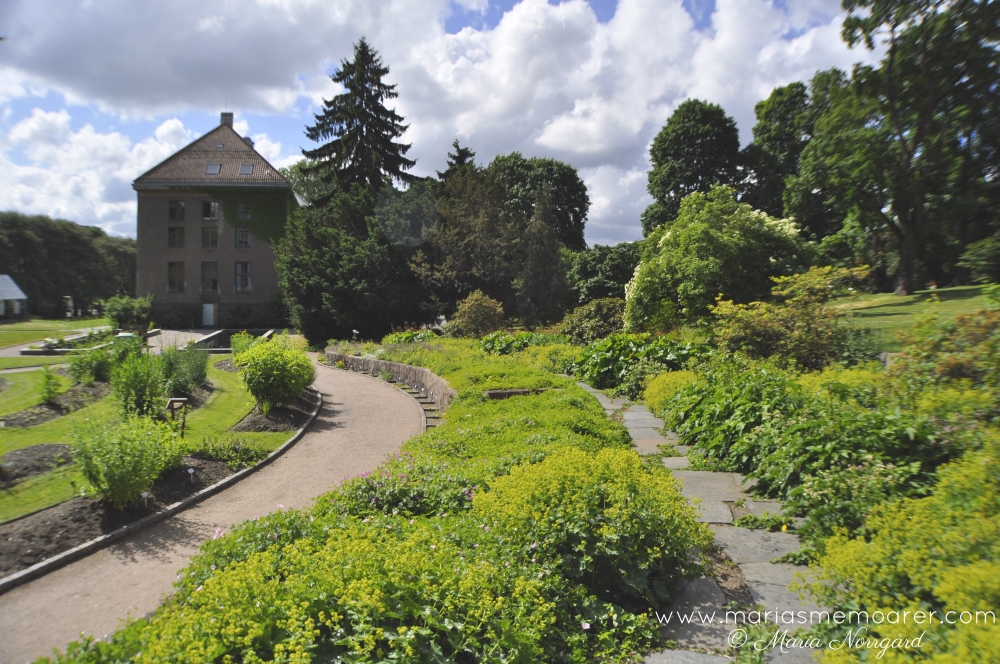 Sightseeing: Botanical Garden in Oslo