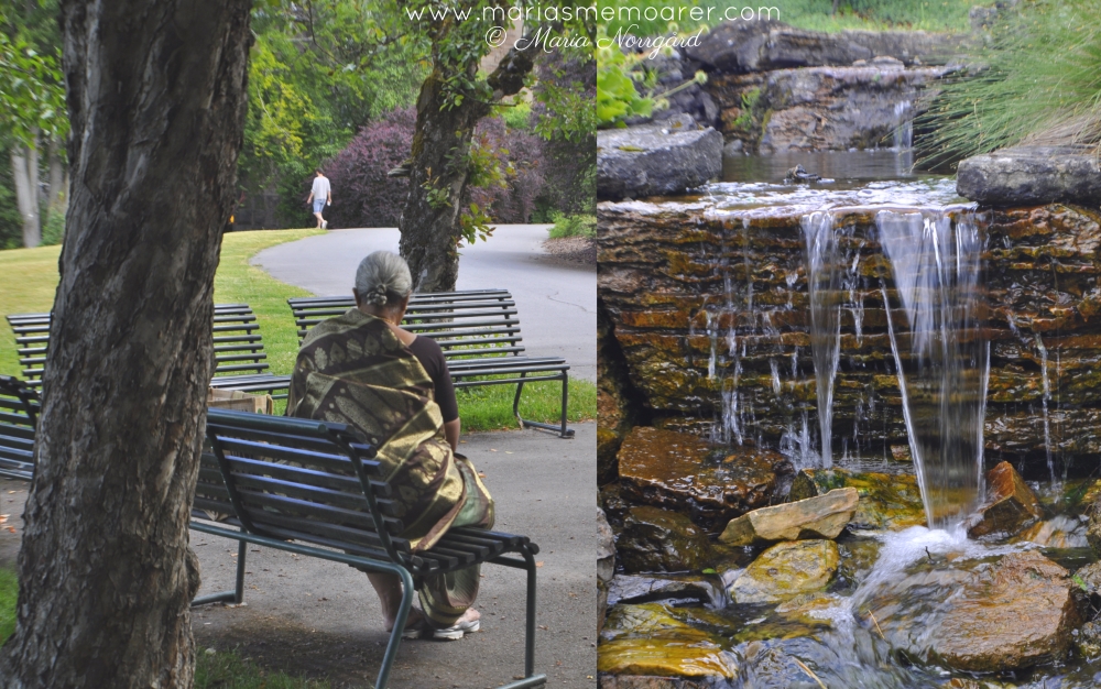 Peaceful spots in Oslo - Botanical Garden
