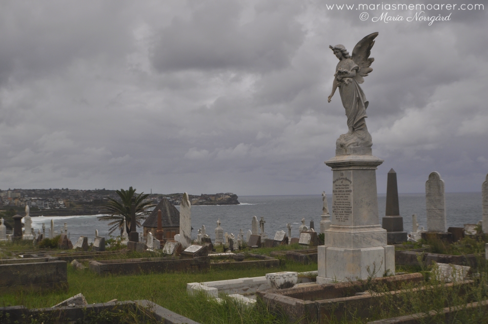 vackraste begravningsplatserna på resor - Waverley i Sydney, Australien