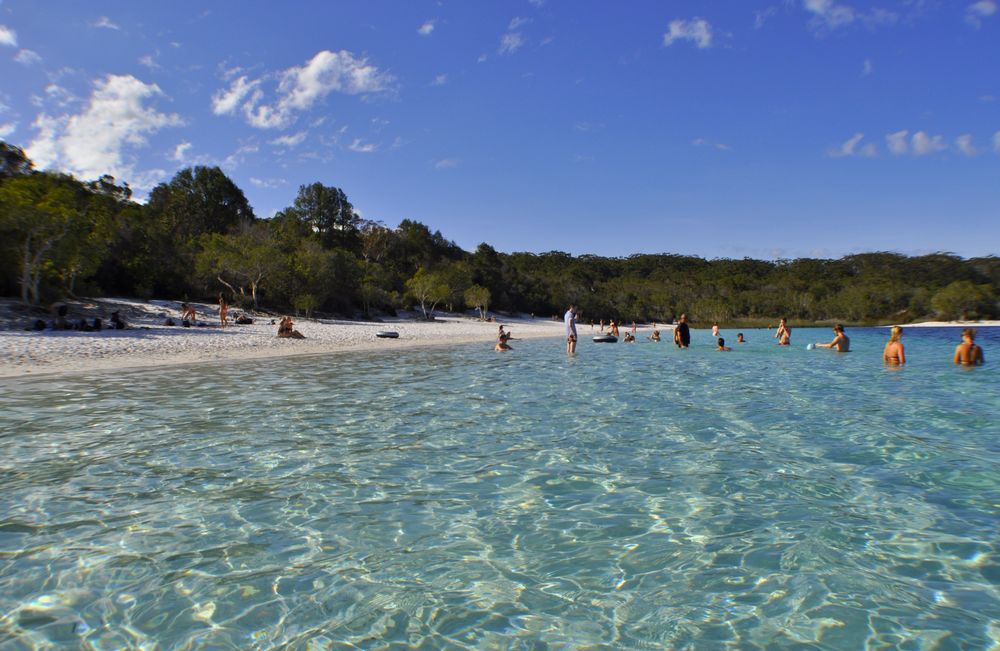 fototema vatten: klart vatten på Fraser Island, Australien