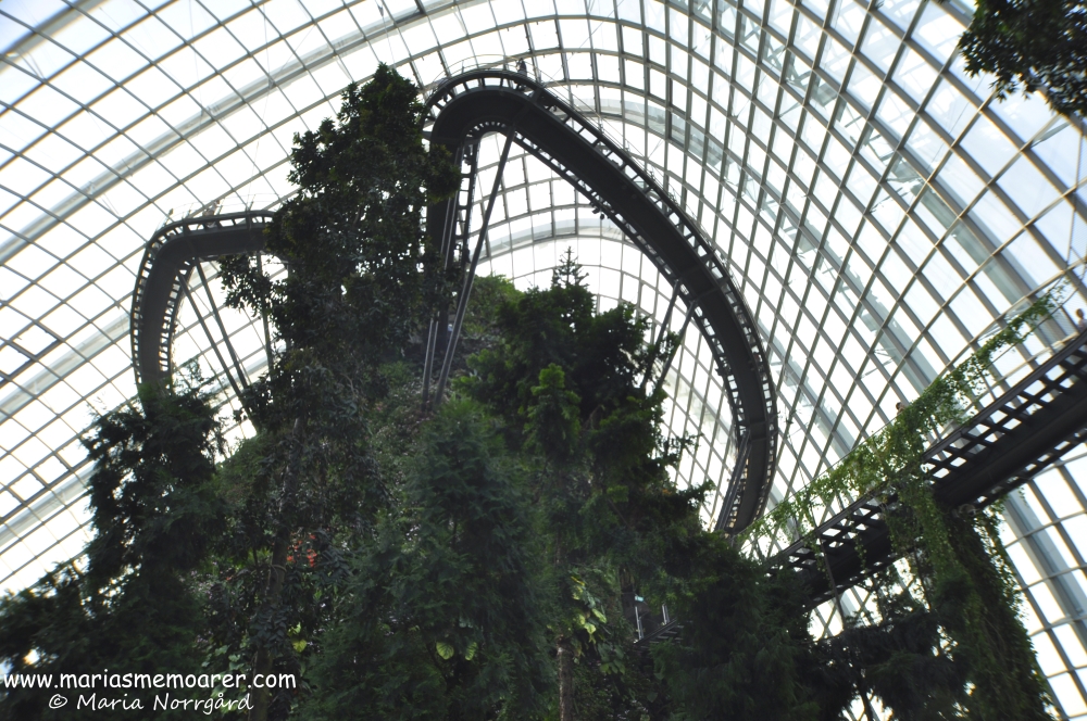 Cloud Forest in Gardens by the Bay, Singapore