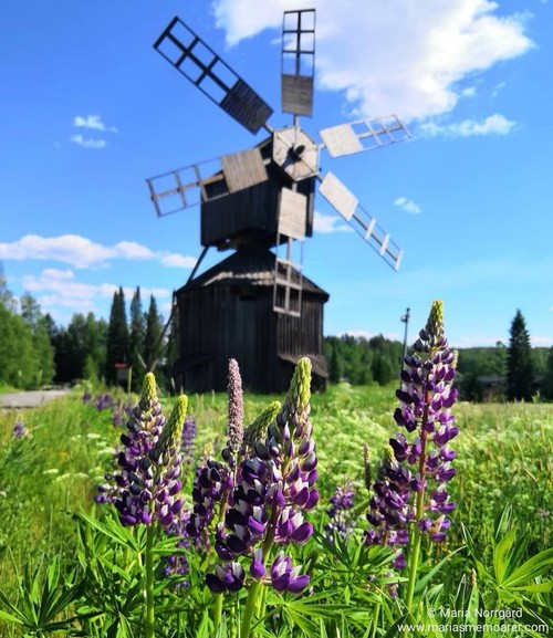 instagram favoriter - sommar i Finland