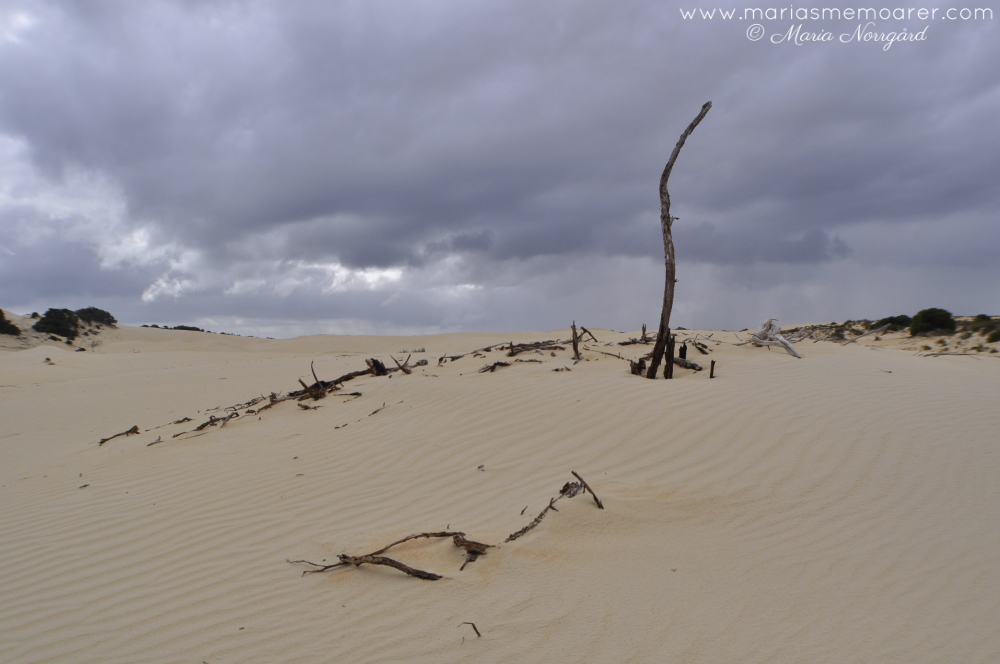 photo challenge fotoutmaning climate klimat - Pinnacles desert öken Western Australia