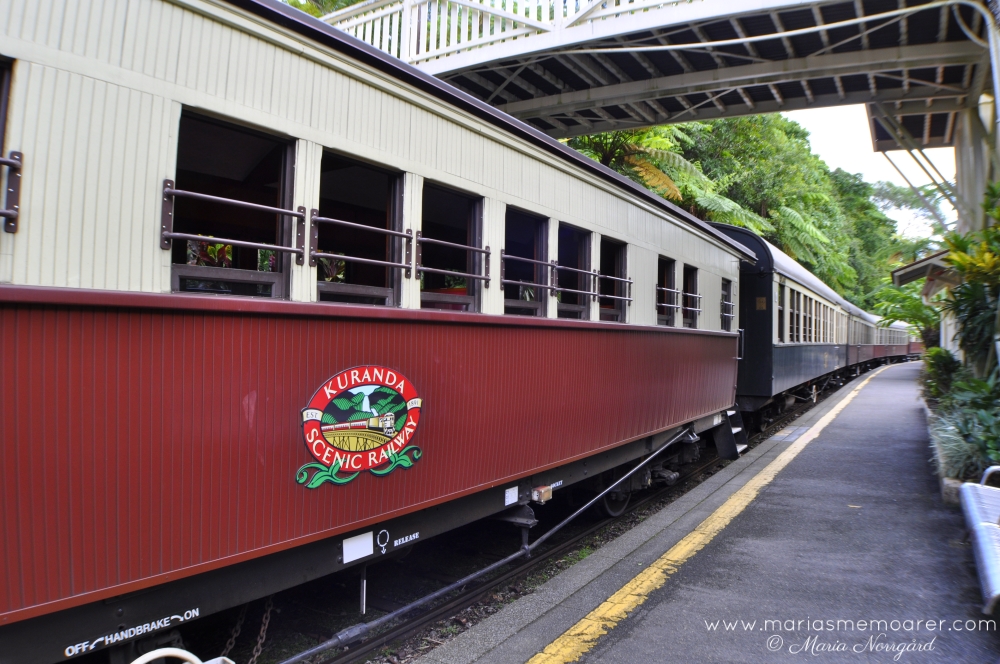 sevärt nära Cairns - Kuranda och en tur med tåg (Scenic Railway)