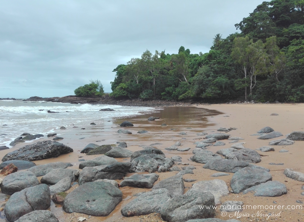 Mission Beach - Australia's coconut paradise