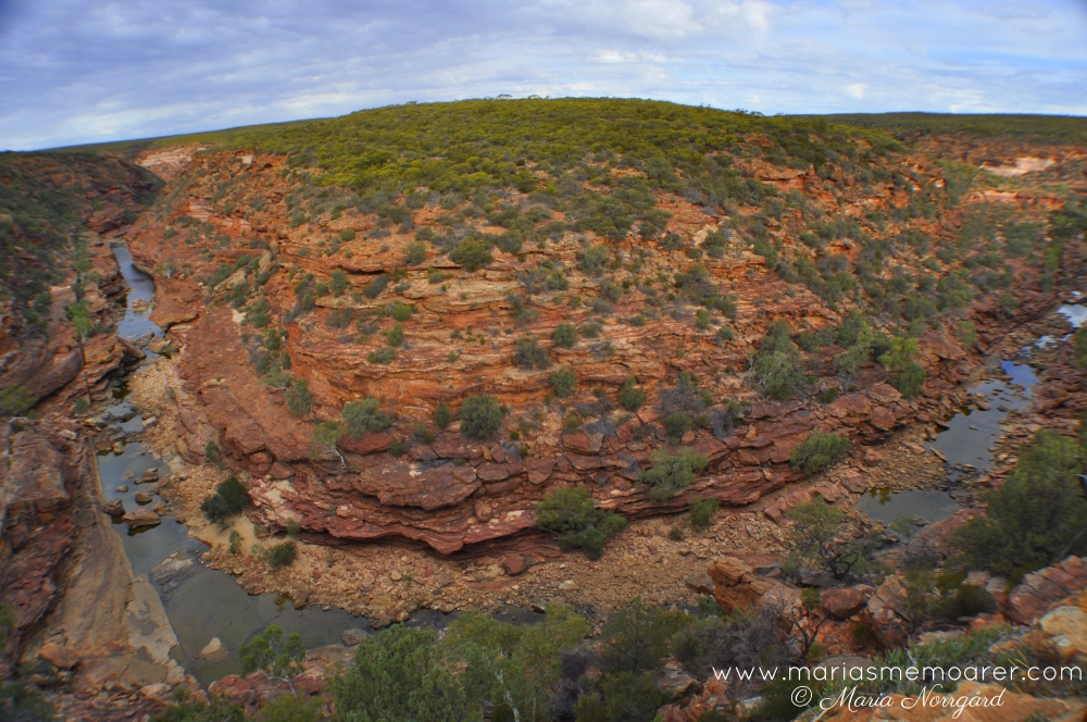 national park Western Australia - Kalbarri Z-bend lookout