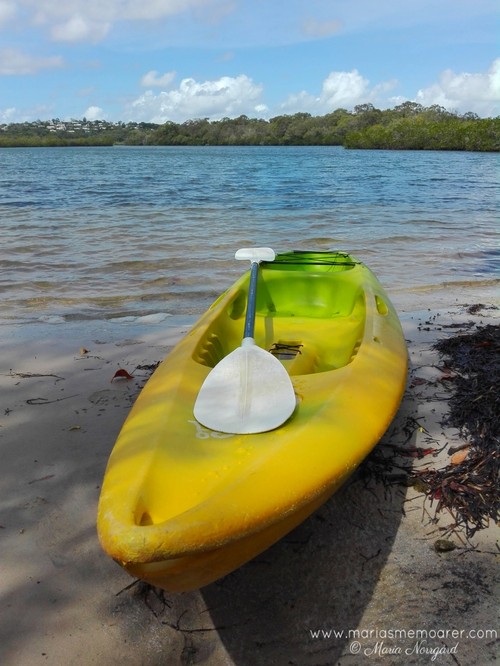 kayaking in Noosa Everglades, Australia