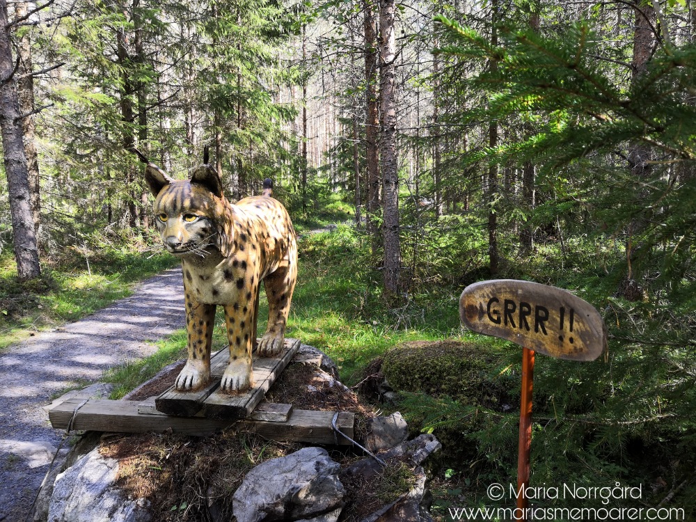 Kortjärvi naturstig - djurstatyer Finlands djur - vandringsled med tema