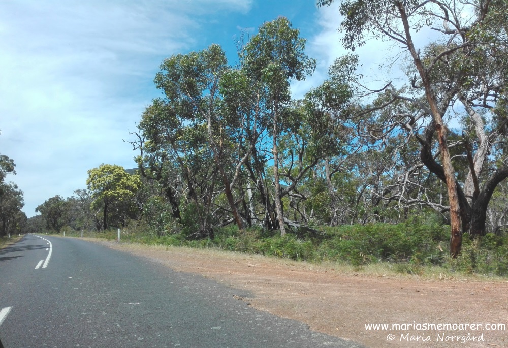 Roadtrip in the outback of Victoria, Australia