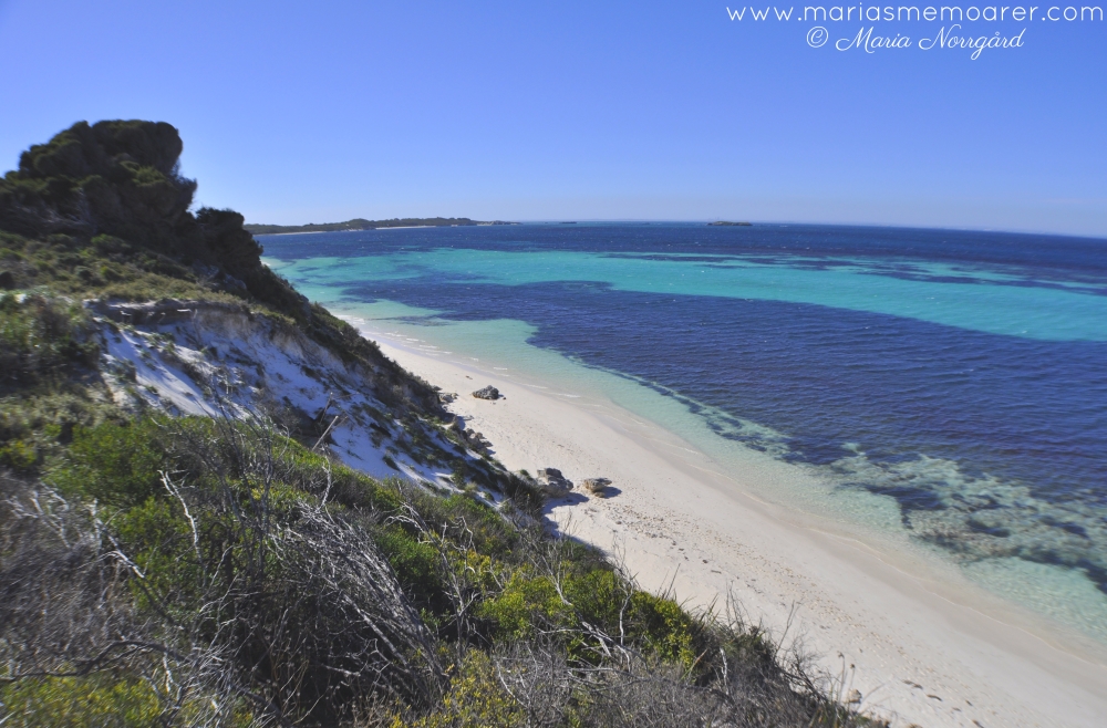 paradis i Australien - Rottnest Island nära Perth, Western Australia