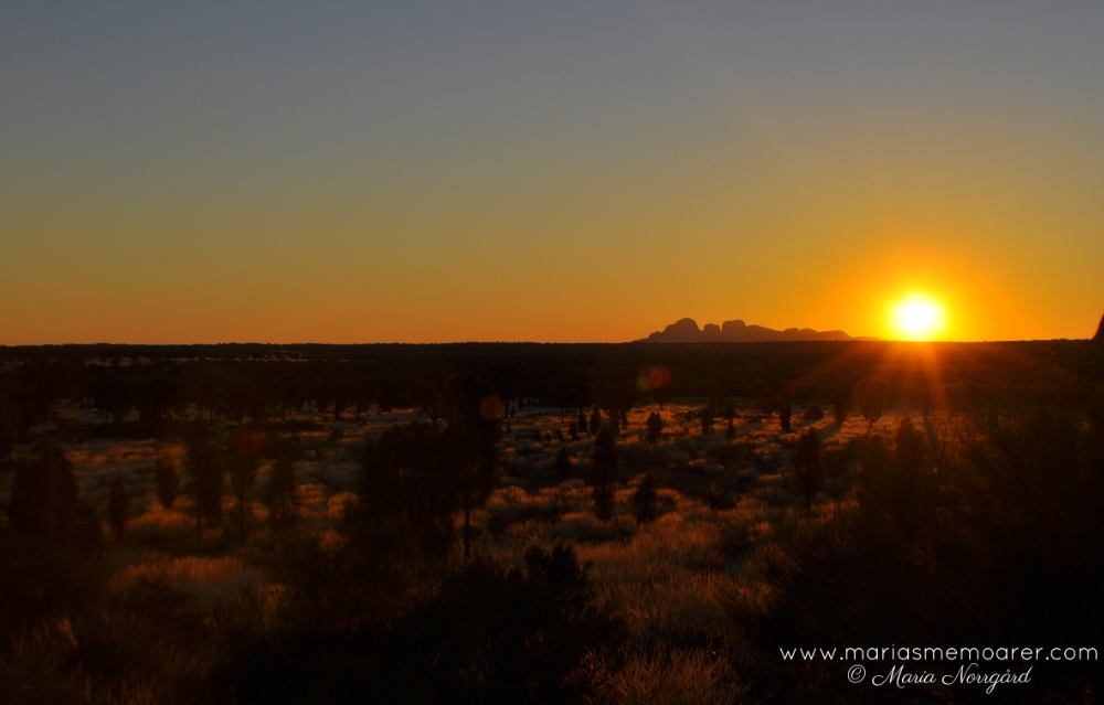 Uluru-Kata Tjuta nationalpark i solnedgång