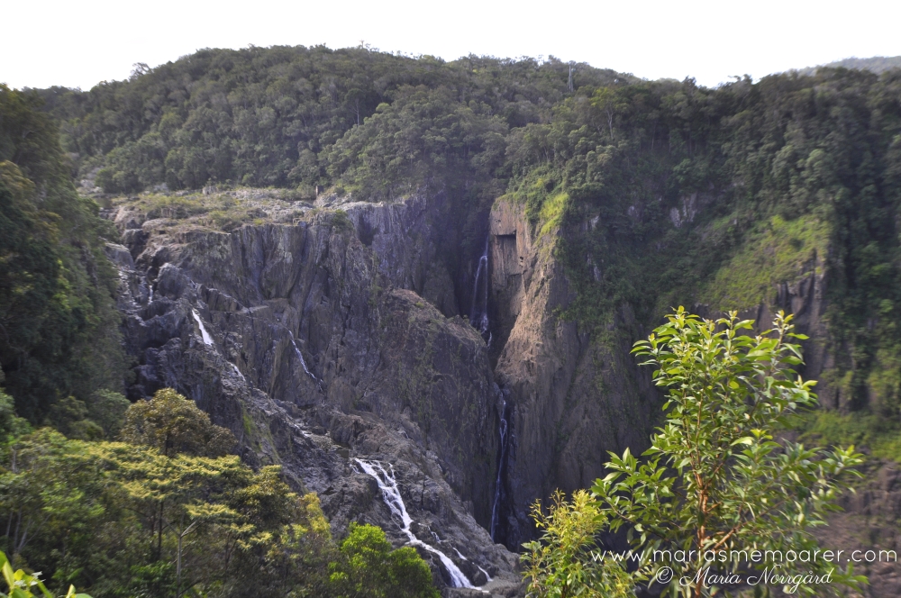 vattenfall i Australien: waterfall Barron Falls, Barron Gorge National Park near Cairns and Kuranda, Queensland, Australia