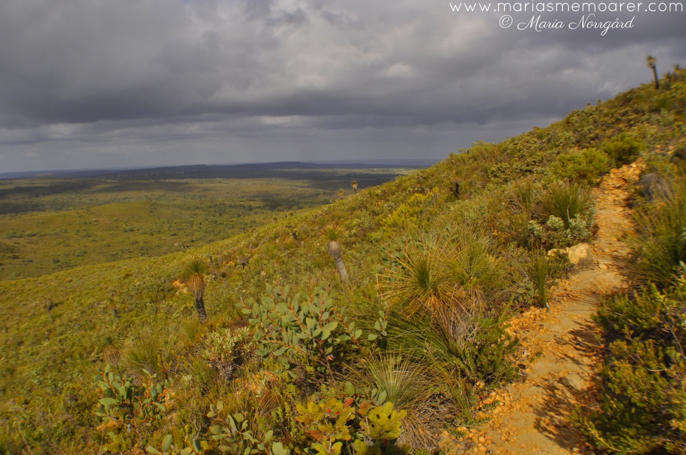 Mount Lesueur trail walk, Western Australia