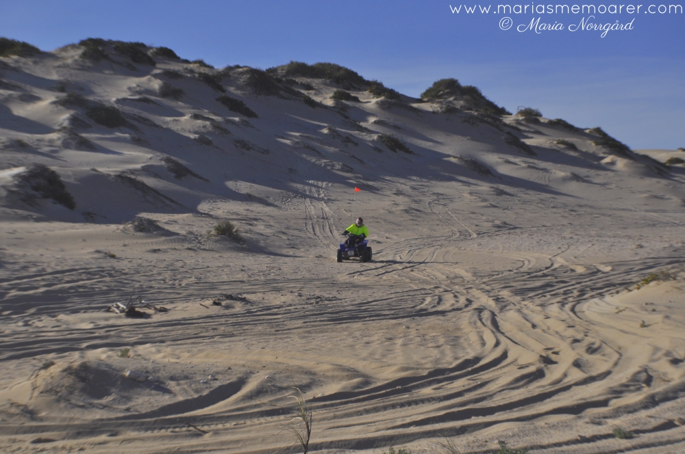 four-wheeler / quad at sand dunes near Coral Bay