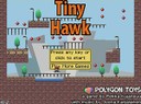 tiny hawk