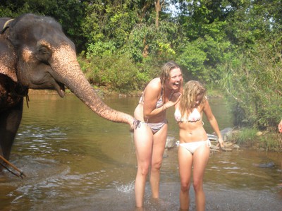jag, sarah & elefanten!