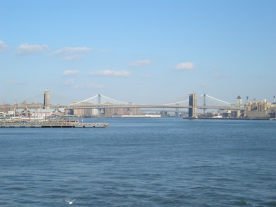Brooklyn bron