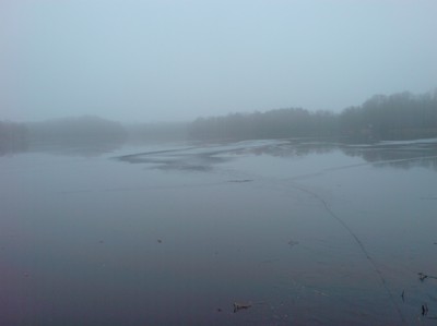 Sjön i dimma