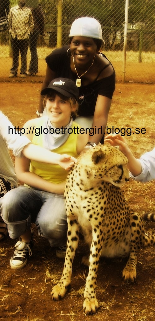 At Nairobi Animal Orphanage