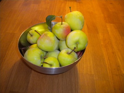 Äppelskörd 1