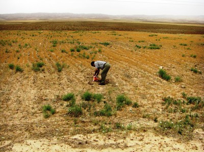 Jordbruksmark nära Derbendikhan, Irak