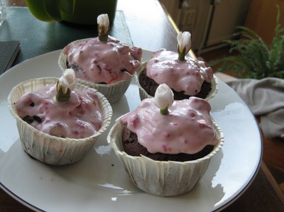 Här är mina cupcakes jag gjorde idag, det är choklad med hallonfrosting :)