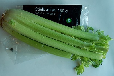 Eget foto av grönsaken selleri. 201005