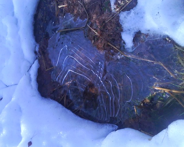 Häftigt mönster i isen