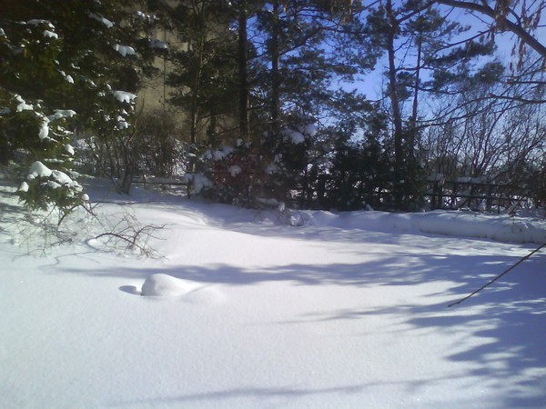 Sunshine and snow !