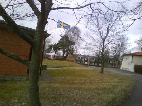 svenska flaggan!