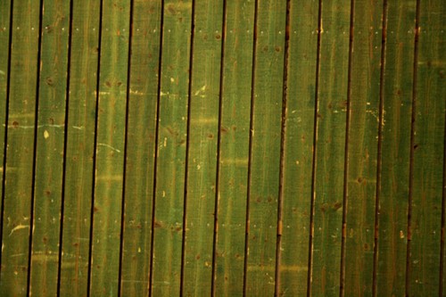 grön vägg2