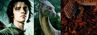 från höger: han-som-jag-inte-kommer-ihåg-namnet-på, draken i Eragon (Saphira?), och så Tess ^__^
