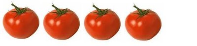 tomat 4