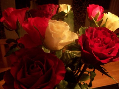dessa underbara rosor fick jag av Nettaplätta.