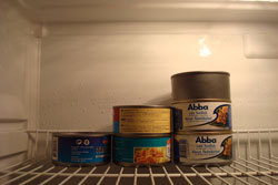 Tonfisk i kylskåp 2