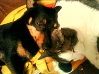 Sötaste inka och hans boos är bästa vänner föralltid :)