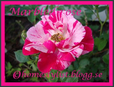 Marmorerade rosor i rosa. Copyright homestylist.blogg.se