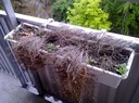 Miserable balcony situation (..I'm not responsible for the cigarette butts..)