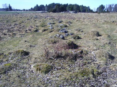 Kring gravfältet RAÄ Vikingstad 87:1 i Linköpings kommun, finns ett stensträngsystem med en sammanlagd längd på 1,2 km. Den tangerar gravar och vattenhål, tillhör järnåldern och är typiskt östgötskt! Östergötlands länsmuseum i Linköping berättar mycket om dessa stensträngar i sin forntidsutställning.