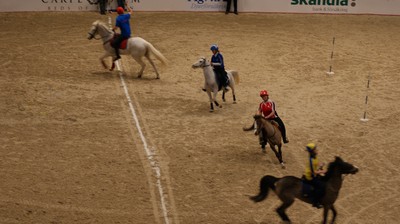 Gbg Horse show 2012