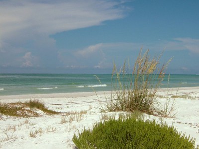 The beach in Sarasota Florida