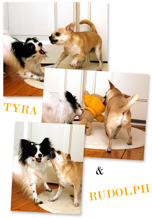 Tyra & Rudolph - foto: Eva Blixman
