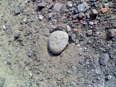 Den här söta stenen log mot mig när jag var ute och gick imorse!